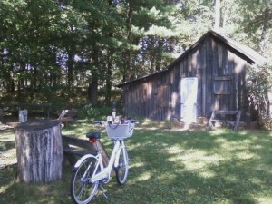 Aldo Leopold's Shack