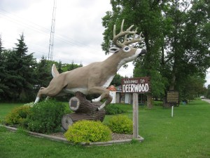 By the road in Minnesota