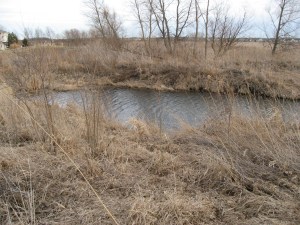 The pond is clear of bags