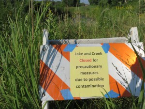 Duck pond contaminated
