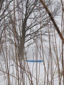 Sled on a snowy day, Huntley Illinois